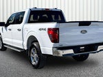 2025 F-150 Thumbnail 11