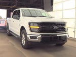 2025 F-150 Thumbnail 4