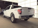 2025 F-150 Thumbnail 7