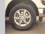 2025 F-150 Thumbnail 9