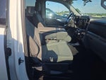 2025 F-150 Thumbnail 13