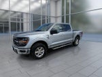 2025 F-150 Thumbnail 4