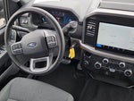 2025 F-150 Thumbnail 5