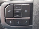 2025 F-150 Thumbnail 12