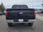 2025 F-150 Thumbnail 20