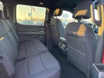 2024 F-150 Thumbnail 13