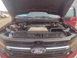 2024 F-150 Thumbnail 10