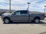 2024 F-150 Thumbnail 2