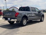 2024 F-150 Thumbnail 5