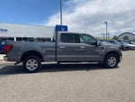 2024 F-150 Thumbnail 6