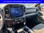 2024 F-150 Thumbnail 11