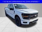 2024 F-150 Thumbnail 15