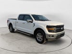2024 F-150 Thumbnail 3