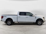 2024 F-150 Thumbnail 4