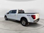 2024 F-150 Thumbnail 7