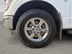 2024 F-150 Thumbnail 9