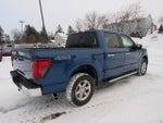2024 F-150 Thumbnail 10