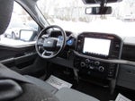 2024 F-150 Thumbnail 18