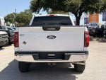 2024 F-150 Thumbnail 5