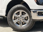 2024 F-150 Thumbnail 6