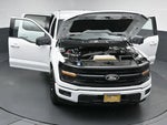 2024 F-150 Thumbnail 54