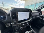 2024 F-150 Thumbnail 12