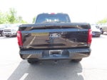 2024 F-150 Thumbnail 6