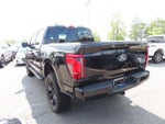 2024 F-150 Thumbnail 7