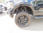 2024 F-150 Thumbnail 13