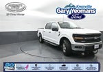 2024 F-150 Thumbnail 1