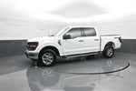 2024 F-150 Thumbnail 4