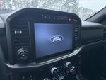 2024 F-150 Thumbnail 13