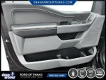 2025 F-150 Thumbnail 5
