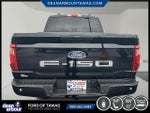 2025 F-150 Thumbnail 17