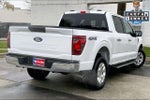2025 F-150 Thumbnail 12