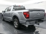 2025 F-150 Thumbnail 7