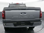 2025 F-150 Thumbnail 9