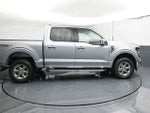 2025 F-150 Thumbnail 12