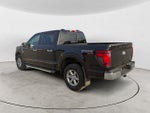 2025 F-150 Thumbnail 7