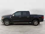 2025 F-150 Thumbnail 8