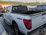 2025 F-150 Thumbnail 4