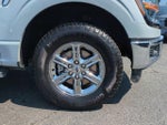 2025 F-150 Thumbnail 13
