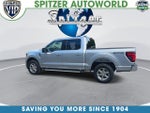 2025 F-150 Thumbnail 7