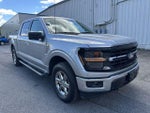 2025 F-150 Thumbnail 11