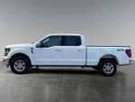 2025 F-150 Thumbnail 5