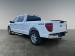 2025 F-150 Thumbnail 7