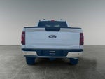 2025 F-150 Thumbnail 8