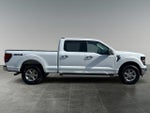 2025 F-150 Thumbnail 10