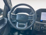 2025 F-150 Thumbnail 13