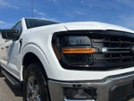 2025 F-150 Thumbnail 33